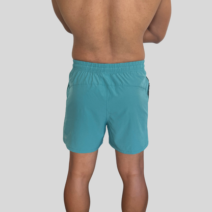 Short Evolution